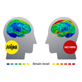 Strain in the brain